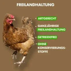 Irish Pure Senior - Huhn + Gemüse & Kelp 1,5 Kg -Ruffweal Verkaufe d54317725b7873fef00062937931f1c99171a5cd 1360185 de DE 57db6b684433bc472c362a1c3e738f1044e02763rqhmsm