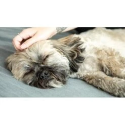 Mammaly Forever Young 110g -Ruffweal Verkaufe d75e80309e38d9419395e04d6d462b3faf057eae 1472891 6