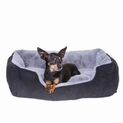 Lionto Hundekissen, Hundebett / Katzenbett Mit Wendekissen Grau/ Schwarz S -Ruffweal Verkaufe dcc5d9292850980da597dd3d41b309b2bef92fcf 1642112 de DE 2bf39624753f19296fa88fba5b98bc67c216a94aqaWpS0