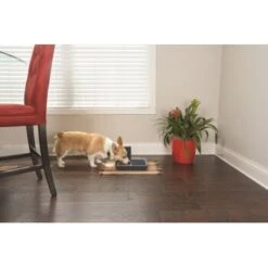 PetSafe Digitaler Futterautomat Für 2 Mahlzeiten -Ruffweal Verkaufe dd3fb1748ad72abb1dbd97f6f077b00bb4d76d05 1291255 de DE cf72a75b3fd4f7fd8b7e51ea368585b22239110fFJga5O