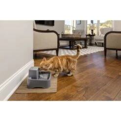 PetSafe Trinkbrunnen 1,8 L -Ruffweal Verkaufe df488cf045110a6e0d24fcded3d81de07583d88a 1323706 7