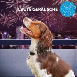 ADAPTIL Calm Halsband Anti Stress Erziehungshalsband S-M -Ruffweal Verkaufe e065c94a1eadac38177e4f3120e975f32282355e 1204441 10