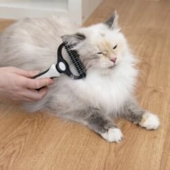 KaraLuna Unterfellbürste 11 KaraLuna Unterfellbürste -Ruffweal Verkaufe e0e7f4b3ef49c70421b21094c2615519c93a1a3e 1407475 de DE 78030a6cd3af146aa7eb3f83fa2322b52c78816a2jpF0U