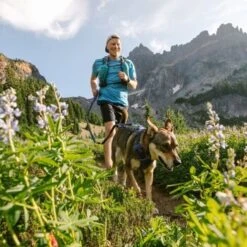 Ruffwear Geschirr Front Range Royal S 8 Ruffwear Geschirr Front Range Royal S -Ruffweal Verkaufe e15197d6b811d617809f68f33d8a3e65d6aeaca9 b4ff373a643a06cdf020cbcf677cbfa6d9fa075f