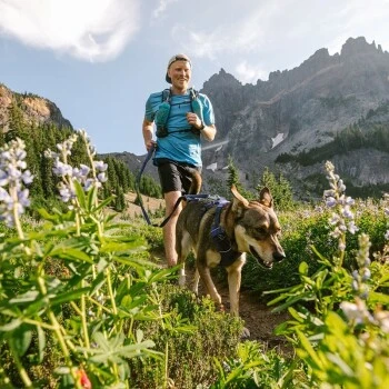 Ruffwear Geschirr Front Range Royal S 3 Ruffwear Geschirr Front Range Royal S – Bild 3