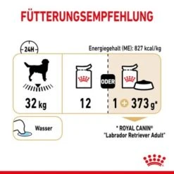 ROYAL CANIN Labrador Retriever Adul Stückchen In Soße 10x140g -Ruffweal Verkaufe e1b9aa69501dfa69aba07a4197757f547480d88b c0052012c545f677414535f1cd3590ef4b841f2f