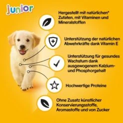 Pedigree Junior 12x400g 8 Pedigree Junior 12x400g -Ruffweal Verkaufe e1cf5ea84f6af272ed10aabce460ba31ba7ab263 1100594 de DE pedigree 2