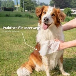 Aniforte Pflegetücher 100 Stück -Ruffweal Verkaufe e365b8abe40c079512459251ed7a0e0087ff8345 1439276 de DE e9b1c5cd3e053b4194f300ca56919dacbe6d40f5HoicFY