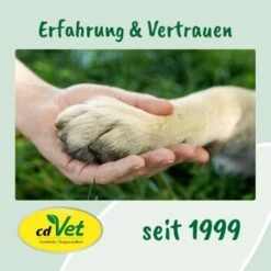 Fell & Haut Vital 150 G -Ruffweal Verkaufe e43eaf71ae161fbb37d73e6d99ceb091a86fef78 1049905 de DE 9de31ae422c889f65e12a1085ee6ba81b11de6a3saphta
