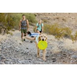 Ruffwear Camp Flyer™ Spielzeug Gelb 10 Ruffwear Camp Flyer™ Spielzeug Gelb -Ruffweal Verkaufe e4a37a6a829a29e9ccf8cc78751e0fdb21b1f16a 1444349 de DE aecf8c0098a10a43cb5986118c66a87955de58baPHiPKl