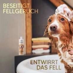 Pawlie's Hundeshampoo Für Langhaar -Ruffweal Verkaufe e65234d72e0adb949f3fa491484e6ad7c7481584 1626203 de DE ce4f7e431ef810d9abd2a895abbb82da132a6dd7K3n77W
