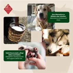 ChronoBalance Kuhmilch Käsestick Für Hunde 65 G -Ruffweal Verkaufe e6a87c905a2cea9bcf698f1efe84fa448df25310 1409631 de DE ad3c3860dd1f5c0542b042c1c87b5544be17d6b0QR3AYw