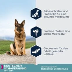 EUKANUBA Breed Specific Deutscher Schäferhund 12 Kg 8 EUKANUBA Breed Specific Deutscher Schäferhund 12 Kg -Ruffweal Verkaufe e74566402a337a12fdc798e9fabde5f0d5953a5c cc66d4c435377188d1bbad195ed5e6d7ec8074b3