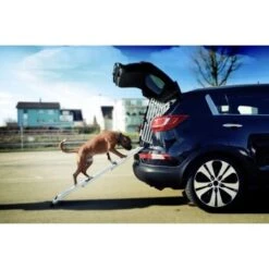 4pets Rampe EasySteps -Ruffweal Verkaufe e900a968d8a04ba612530fdd36c5aa69f2fcdb42 13c5bbebb6d2cdec433b668e9fb0bd46dd6f4298