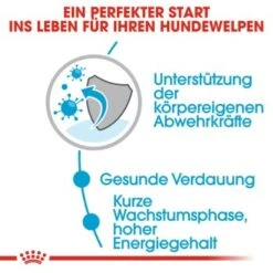 ROYAL CANIN Medium Puppy 10x140g -Ruffweal Verkaufe ea01834e95d5331859ec66f06e01952c0612edab 86009acb36c61560ce965056594dc109940f0dfe