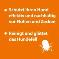 Ardap Anti Zecken Shampoo Für Hunde 250ml -Ruffweal Verkaufe eb2dfbdf7225d09a19c8f88f4646a04f7e5b6075 1289723 de DE 147e22e7e5366ff5c32b239862781e55c73f3298axcqkW