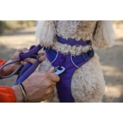 Ruffwear Front Range™ Leine Violett -Ruffweal Verkaufe eb2f9759d53ffaaebfe530ff03ce98c7a48a56d1 1651455 de DE 2df17f72915d6716e32ef884f8fc79995debc11eCsj6N1