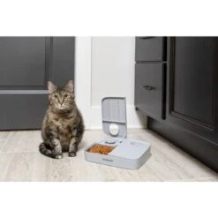 PetSafe Futterautomat Für 2 Mahlzeiten -Ruffweal Verkaufe ecfa45428902a757dc7016a44357eeb1f8b25a89 1343837 6