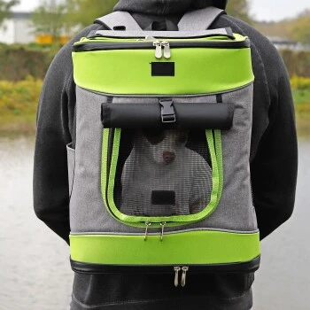 Lionto Haustier-Rucksack Grau/ Grün 2 Lionto Haustier-Rucksack Grau/ Grün – Bild 2