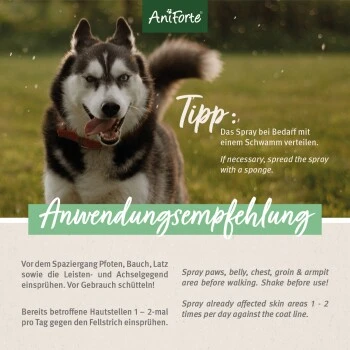 Aniforte Grasmilben-EX Spray Für Hunde 500ml 2 Aniforte Grasmilben-EX Spray Für Hunde 500ml – Bild 2