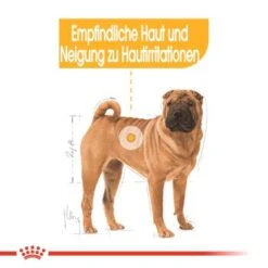 ROYAL CANIN Dermacomfort Medium 12 Kg -Ruffweal Verkaufe f3ea63a6649f4419a7b30bcae5e53492b1d48466 1376167 de DE iajs 5