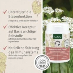 Aniforte Blasen-Formel 100 G -Ruffweal Verkaufe f420a25deefbf72e6eabb273c435ac9f0e670273 1422215 de DE 26e5608ad6523d0c076b9df136d15cda829d1a7fSjIFSG