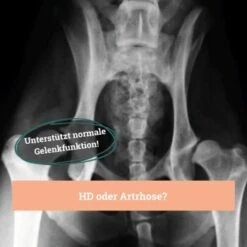 BeG Buddy Gelenk Fit Tabletten 12 BeG Buddy Gelenk Fit Tabletten -Ruffweal Verkaufe f4b9d51f2e78d12f2ca2a2fe6ae9f754ebede26e 1457251 de DE d18aefeba3109b170fc6ce5df4353512cf27c799DQ6Cd3