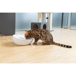 AniOne Keramik-Trinkbrunnen Waterfall Weiß Ohne Ersatzfilter -Ruffweal Verkaufe f5666e2f535275128e81462f19991e450c3d3f87 c66954489332ac4ff326811e24559ef9b2854fac