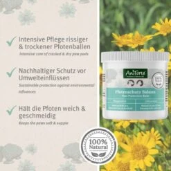 Aniforte Pfotenschutz Balsam 120ml Sommer & Winter -Ruffweal Verkaufe f6352728d2d295839a5f9bac2123e02ea5cfd66d 1480491 de DE b4b6382b0452d366b3ffc33798d9e5be379c6ee9yrOk4E