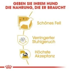 ROYAL CANIN Maltese Adult 1,5 Kg 1,5 Kg -Ruffweal Verkaufe f90d9ba88cab85146ee9a6174a35779689441d96 eb360bae359894307615e39cafb2510583920689