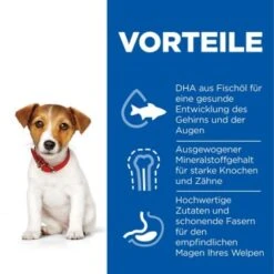 Hill's Science Plan Small & Miniature Puppy Mit Huhn 3 Kg 11 Hill's Science Plan Small & Miniature Puppy Mit Huhn 3 Kg -Ruffweal Verkaufe f99e800bdba85688d025c611ec54227734f1645a 52742281704 4