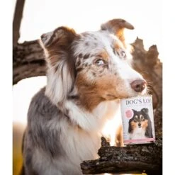 DOG'S LOVE Adult Hypoallergen 6x400g -Ruffweal Verkaufe f9f1fc4aa515eab49cf2248bceb6cc0121fe13fb 1274558 1