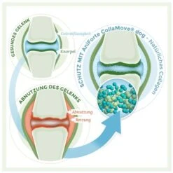 Aniforte CollaMove Kollagen Dog 250 G -Ruffweal Verkaufe fbf5a9dc08423de08f5c9740ea99fa2e524d47dc 1457284 de DE 93f83ccbd87110a8284ed4e38cb6148f2a1dc492cVu2P6