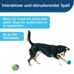 PetSafe Elektronisches Hundespielzeug Ricochet -Ruffweal Verkaufe fde7c0cc07cd70611ca47b65ddae3e632f160d94 1418724 de DE 4f6e4953c50827cae26a42d6d5890e56447a49a4XQHEwC