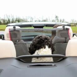 KONG Vordersitzbarriere -Ruffweal Verkaufe ff5dbde9995c56c34bbe7bc5016592f3adbb7bc3 2f73ce2132082534f311b2977a78cc14a0a72f3e